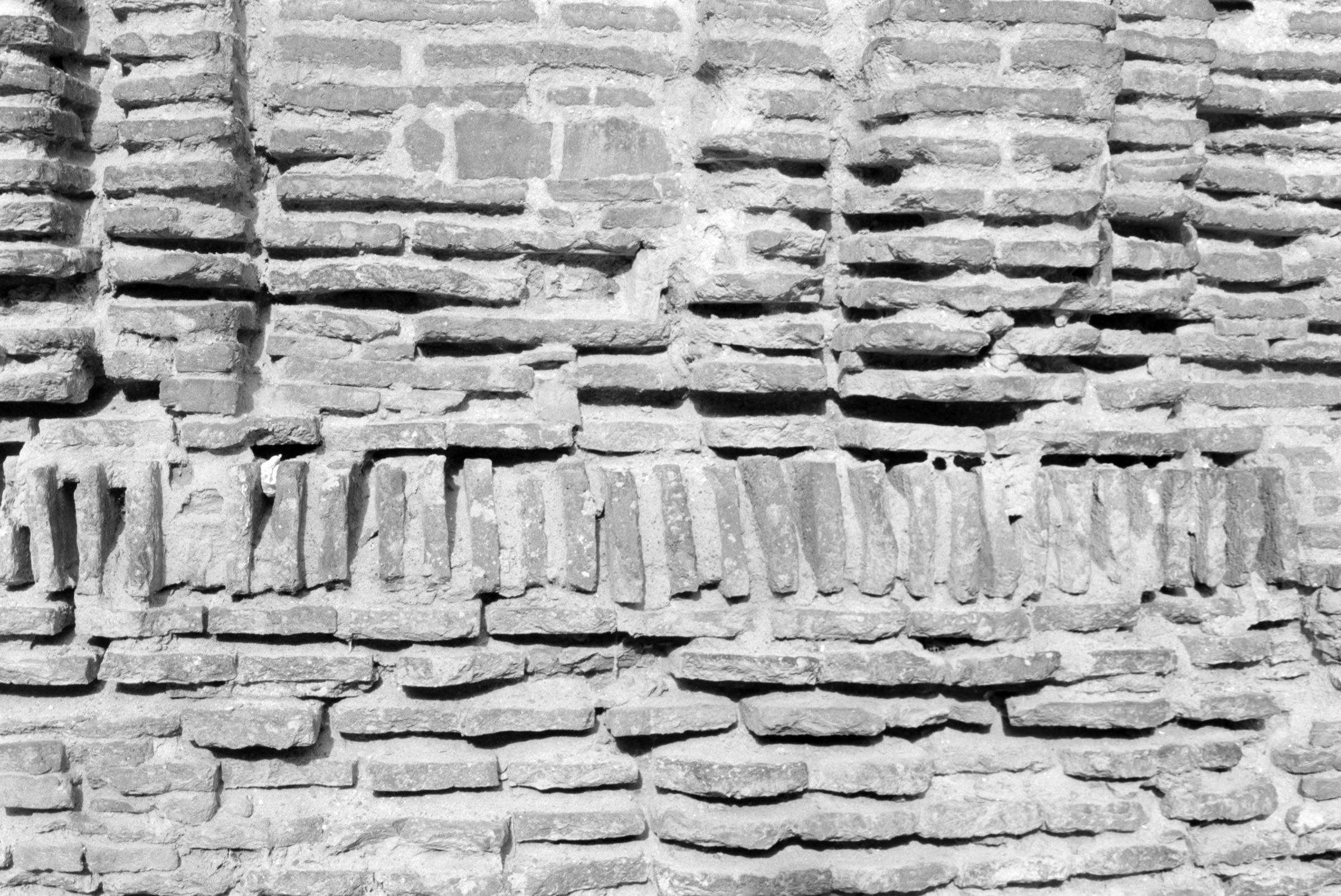 AHP F1995 05 008 sc240826 img25 NLP